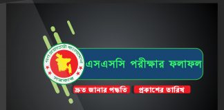 ssc exam result 2019