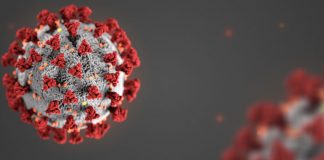 Coronavirus Live update in Bangla