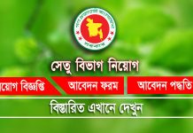 Bridges Division job circular