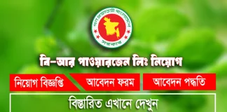 B-R Powergen Limited Job Circular