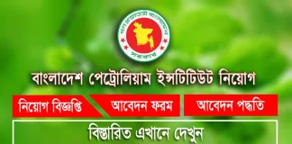 Bangladesh Petroleum Institute (BPI) Job Circular