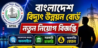 Bangladesh Power Development Board Job Circular