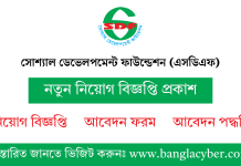 সোশ্যাল ডেভেলপমেন্ট ফাউন্ডেশন নিয়োগ